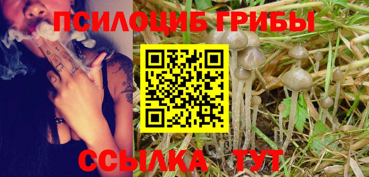 Гусь-Хрустальный  Псилоцибиновые грибы прущие грибы  Вход с VPN  Галлюциногенные грибы GOLDEN TEACHER 